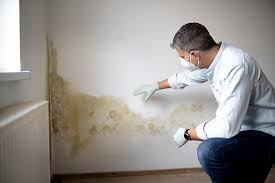 Trusted Oakhurst, OK Mold Prevention & Removal  Experts